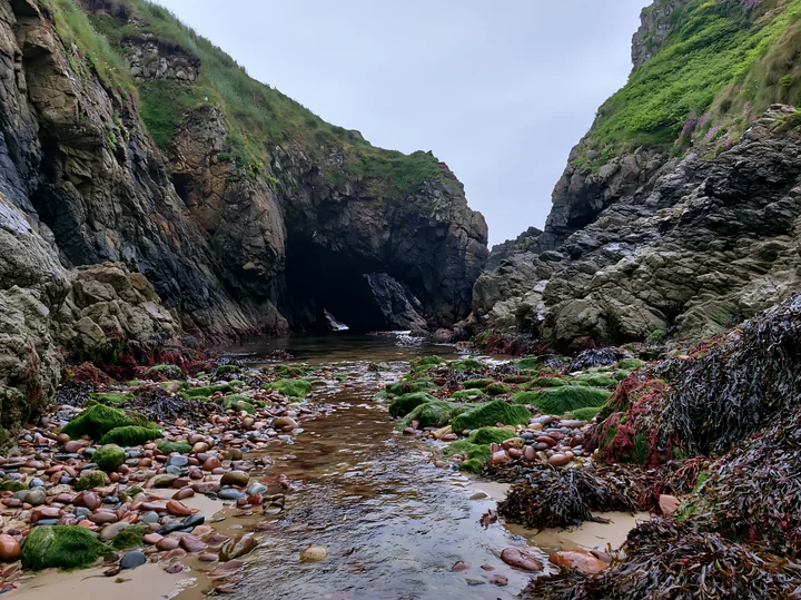 Rocks and seaweed line the shoreline as a stream flows toward the ocean.
