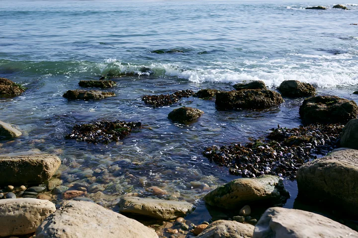 Rocky coastline with waves washing over mussel-covered rocks and shallow intertidal pools.