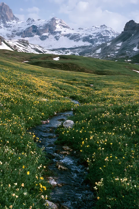 A stream flows through vibrant meadows filled with wildflowers in a valley surrounded by mountains. Snow-capped peaks rise in the background under a partly clou