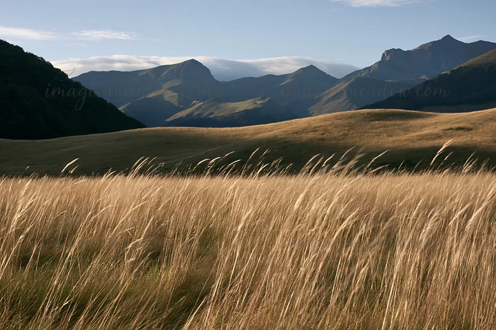 Tall grass sways in the valley meadows. Mountains rise in the distance. The scene captures natural beauty with clear skies and sunlight illuminating the landsca