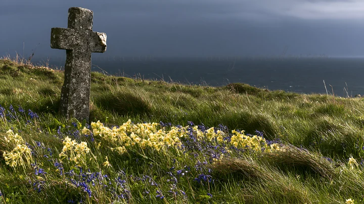 A rustic Christian cross stands in a winter meadow surrounded by wildflowers. The landscape features grass and a distant view of the ocean under a cloudy sky.