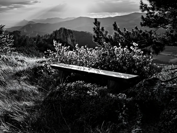 A wooden bench is surrounded by flowers in a meadow. The scene captures a view of distant mountains under a cloudy sky. Light filters through the clouds at suns