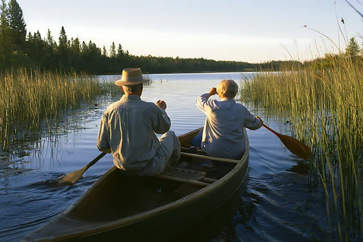 Senior couple paddles a canoe through calm wetland water bordered by reeds and forest at sunset.