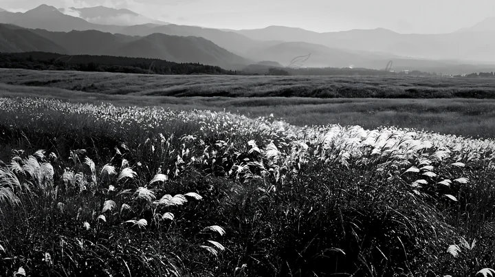 A meadow in Shizuoka shows tall grasses and plants after recent heavy rain. The landscape features distant mountains under cloudy skies, creating a vibrant natu
