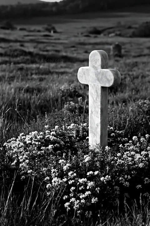 A plain Christian cross stands among wildflowers in a quiet meadow. The scene captures the stillness of the landscape, with grass and flowers surrounding the cr