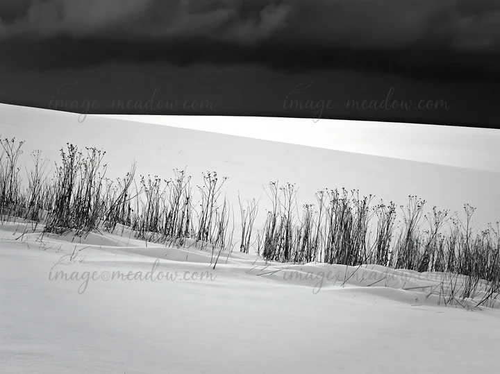 Biei hills meadow features a blanket of snow with sparse vegetation in the foreground. Dark clouds loom over the landscape during winter, creating a stark contr