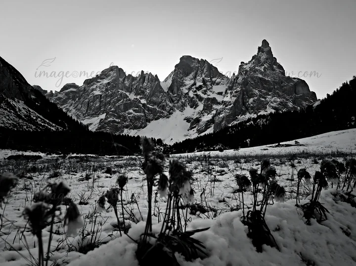 A snowbound meadow is present in the foreground, leading up to towering mountains in the background. The scene is set in winter with a clear sky above and snow