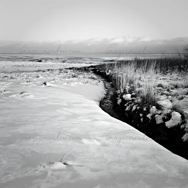 A winter scene shows a snowy beach meadow with a small creek flowing through it. The landscape features patches of grass and snow, with a distant view of ice on
