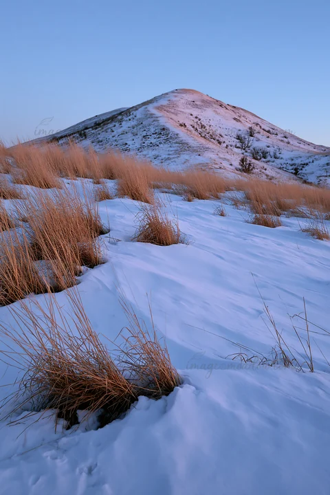 A snowy foothill meadow features tall grass clumps against a backdrop of a snow-covered hill. The sunlight casts a soft glow, creating a clear winter scene.