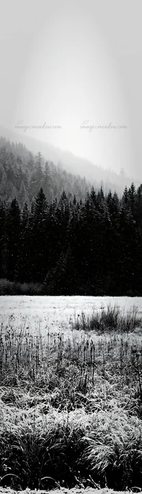 A snowy meadow is situated in the foothills, surrounded by dark trees. Snowflakes fall gently, creating a winter scene. The atmosphere is overcast and gray, wit