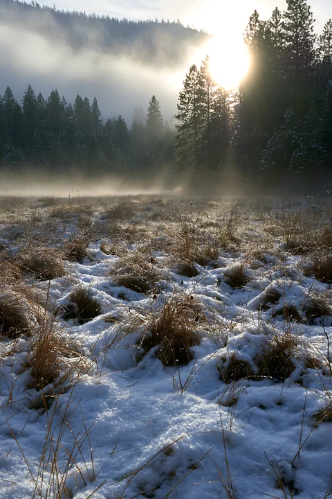 Frost covers the ground in a snowy meadow as the sun rises behind tall trees. Mist rises from the ground, creating a soft light in the early morning.