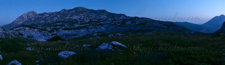 A meadow is illuminated by stars under a clear night sky. Rugged mountains are visible in the background. The scene captures a quiet moment in nature, showcasin