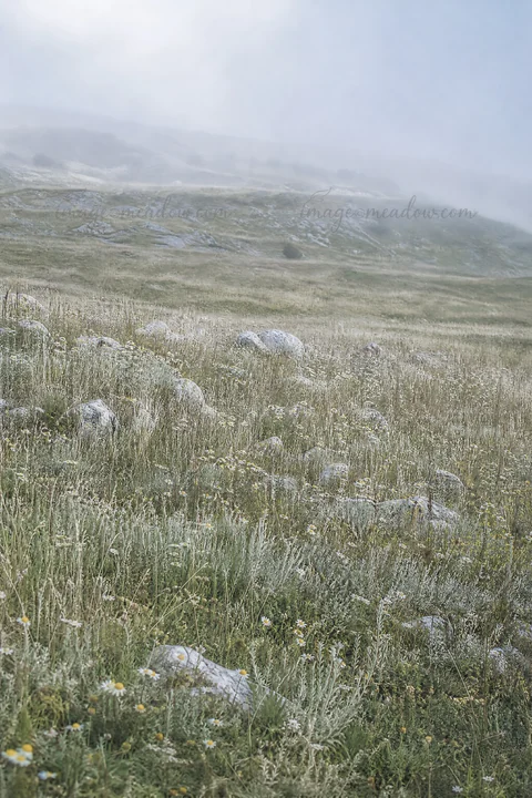 A chalk meadow stretches under a clear sky. Stones are scattered throughout the field, and hills fade into the distance. Bright sunlight illuminates the grass a