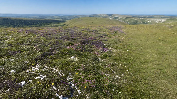A green meadow filled with wildflowers sits under a clear blue sky. The landscape features rolling hills in the background and rocky patches scattered throughou