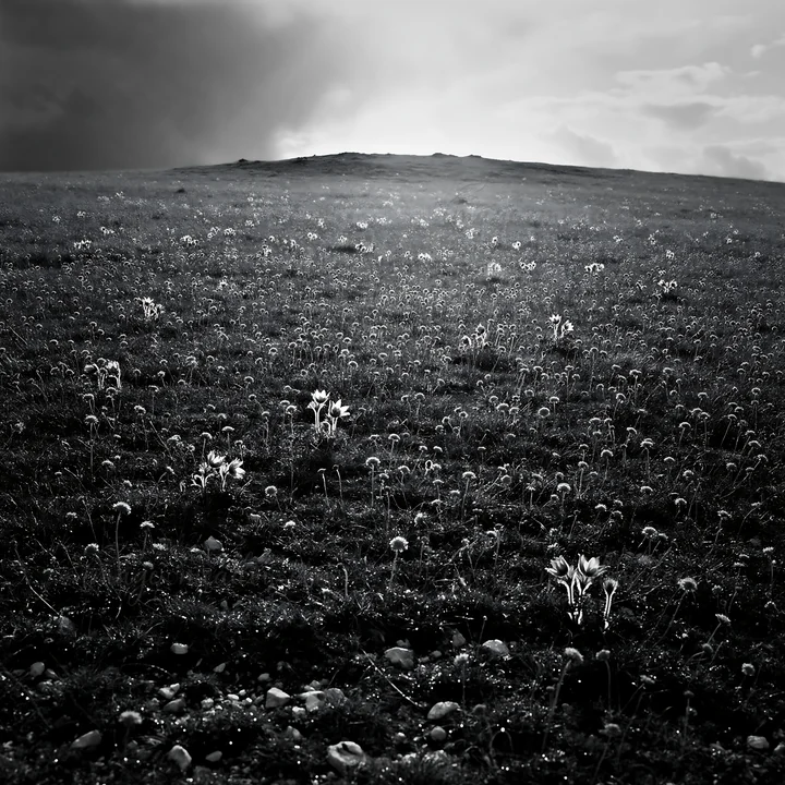 A sunny meadow filled with flowers stretches across the landscape. The scene captures limestone terrain under a mostly clear sky, offering ample space for outdo