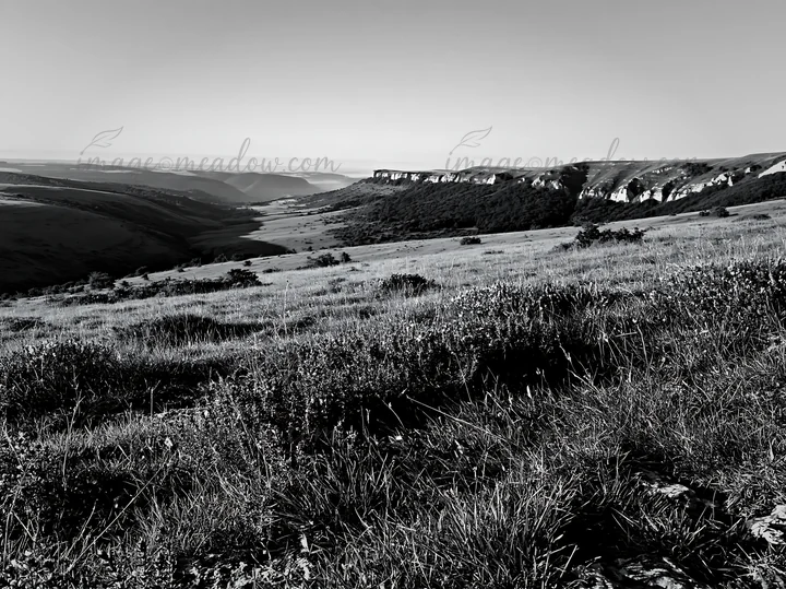 A wide view of a sunny meadow located on a limestone escarpment. The landscape shows hills in the background and green grass in the foreground. This scene is ca