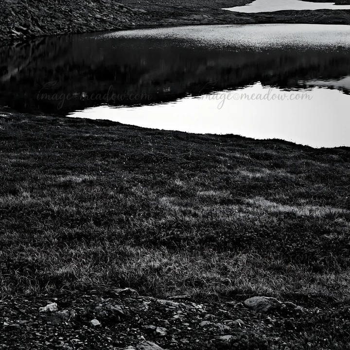 A lush meadow sits next to a calm alpine lake in Switzerland. The lake reflects the surrounding landscape. Grass covers the ground, creating a natural setting i