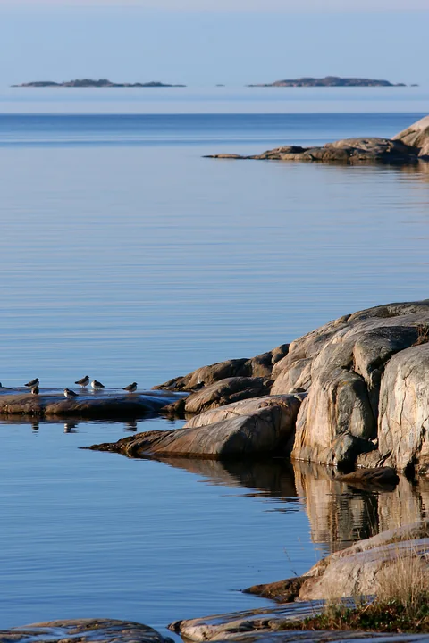 The coastline with exposed rocks stretches along the water, where birds are gathered on the rocks.