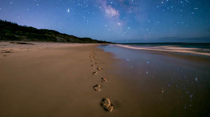 The scene shows a sandy beach at night, illuminated by stars in the sky.