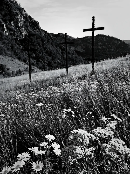 Three iron crosses stand in an Advent meadow surrounded by wildflowers. The landscape includes hills and trees in the background. The scene captures a moment du