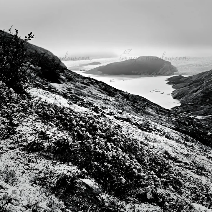 Snow blankets a meadow in Torres del Paine, Chile. The landscape shows rolling hills and a body of water in the distance with cloudy skies. This region is known