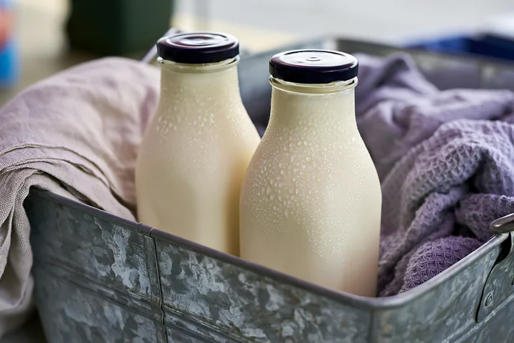 Two cold milk bottles stand in a metal market cooler surrounded by a cloth.
