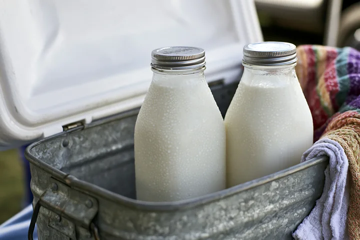 Two glass bottles filled with fresh milk are sitting inside a metal cooler.