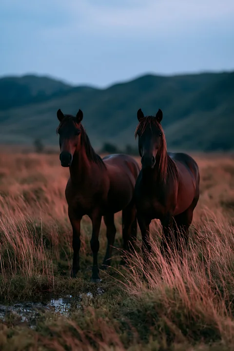 Two mustangs roam across a nighttime grassland, framed by dark mountains in the background.