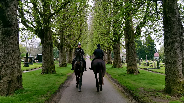 Two police officers ride horses down a path in a cemetery surrounded by tall trees.