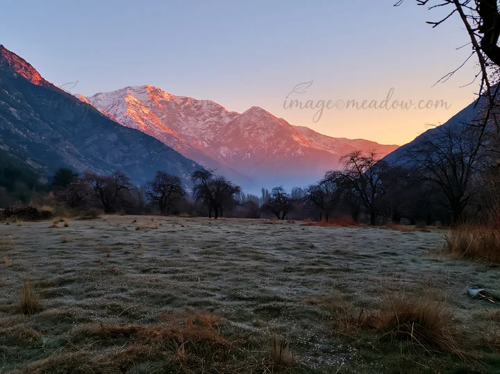 A wide view of a valley apple meadow featuring sparse trees and mountains in the background. The scene captures the early light of sunrise over the frost-covere