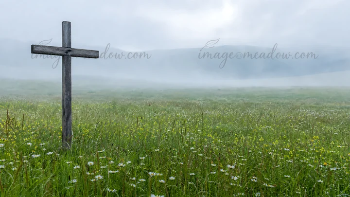 A weathered Christian cross stands alone in a misty meadow filled with wildflowers. The surrounding hills fade into the mist, creating a setting rich with natur