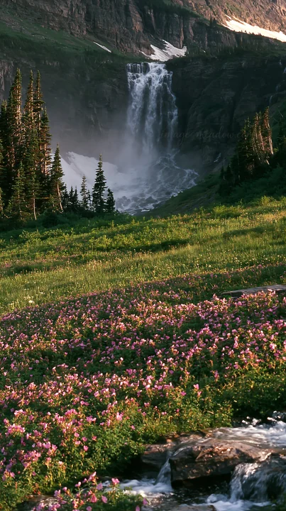 A field of wild roses blooms under a high waterfall in a mountainous area. The water flows down rocky cliffs, surrounded by trees and greenery, creating a vibra
