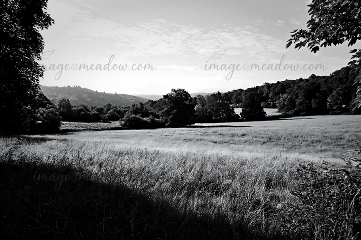 A wooded valley meadow shows an expansive grass field with trees lining the edges. Distant hills rise in the background under a blue sky with clouds. Presented