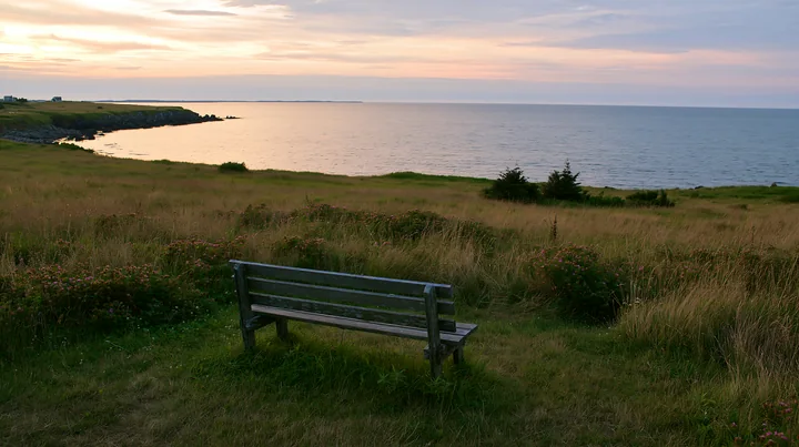 Wooden bench in a grassy meadow overlooking calm coastal water beneath a pastel sunset sky.