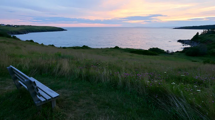 Wooden bench in a wildflower meadow overlooking a calm coastline beneath a pastel sunset sky.