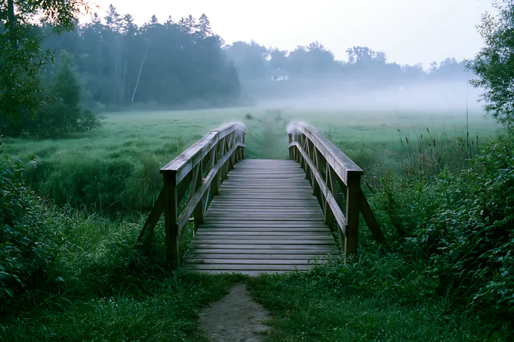 Wooden footbridge and narrow path lead through lush vegetation into a fog-covered meadow.