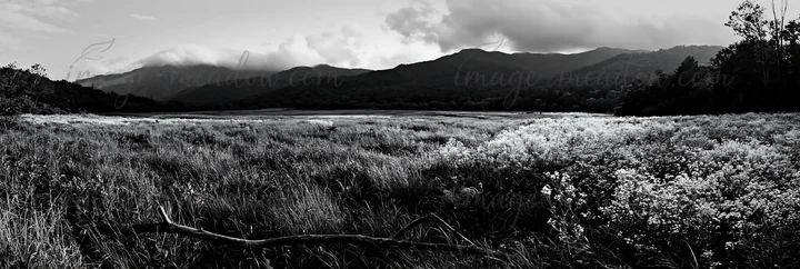 A view of a meadow in Yamagata features lush grass and flowers with a fallen branch in the foreground. The distant mountains are partially obscured by clouds. P