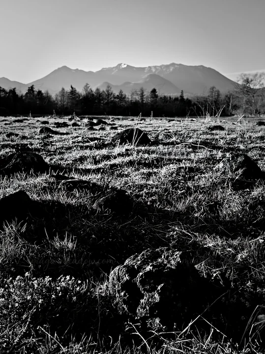 The scene shows a meadow in Yamanashi, featuring basalt stones scattered among green grass and small purple flowers. Snow-capped mountains form a backdrop again